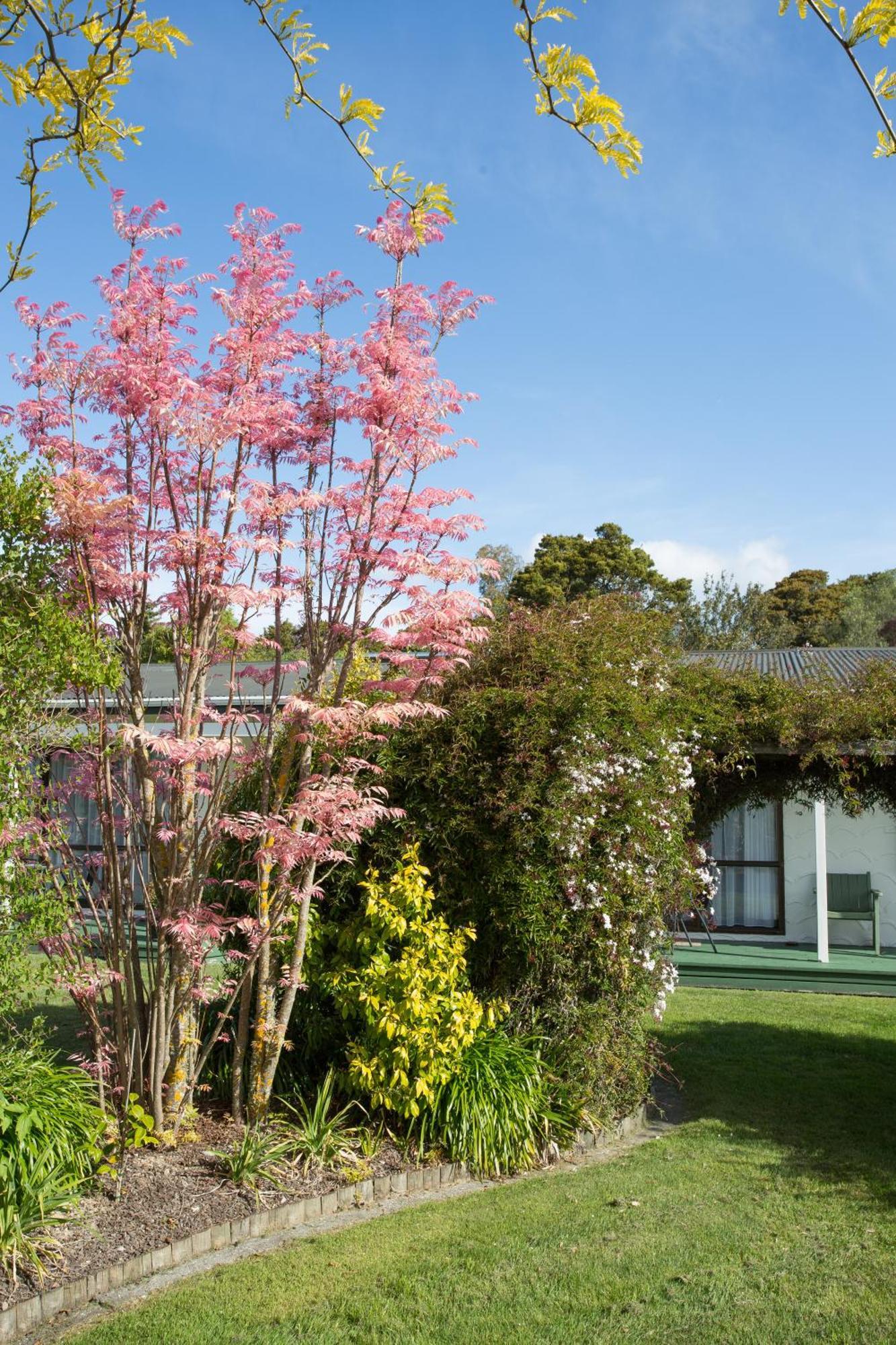 The Park Motel Motueka Exterior foto